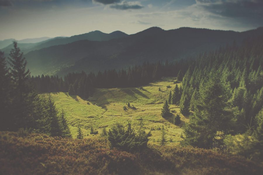 Галерия